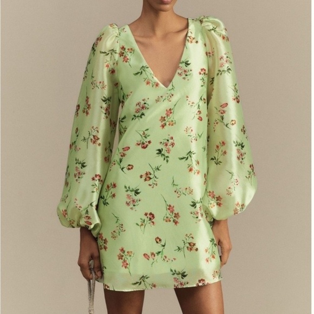 BHLDN Samantha Long-Sleeve Organza Mini Dress Sage Green Floral V-Neck Sz Large